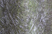 Brampton fibreglass roof work